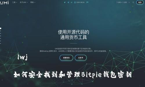  lwj  

如何安全找到和管理Bitpie钱包密钥