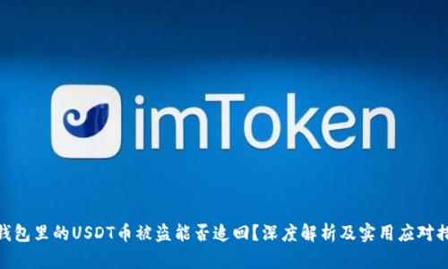 : 钱包里的USDT币被盗能否追回？深度解析及实用应对措施