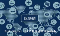 BitP Wallet iOS下载与安装详细指南