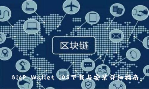 BitP Wallet iOS下载与安装详细指南