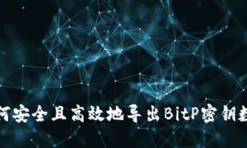如何安全且高效地导出BitP密钥数据