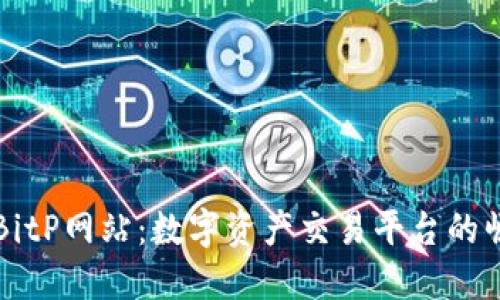 深入探讨BitP网站:数字资产交易平台的崛起与发展