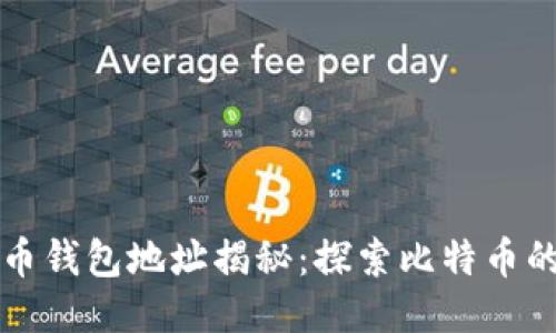 马斯克比特币钱包地址揭秘：探索比特币的魅力与机遇