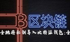 如何安全地将私钥导入比特派钱包：全