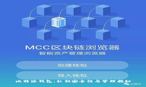 比特派钱包：私钥安全性与管理揭秘