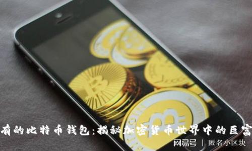 最富有的比特币钱包：揭秘加密货币世界中的巨富传奇