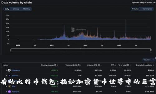 最富有的比特币钱包：揭秘加密货币世界中的巨富传奇