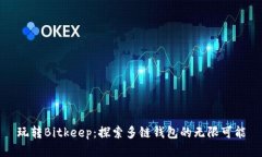 玩转Bitkeep：探索多链钱包的无限可能