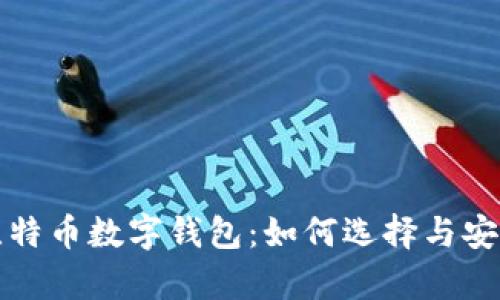 全面解析比特币数字钱包：如何选择与安全使用指南