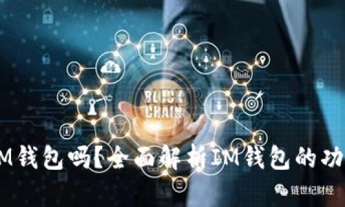 : USDT能用IM钱包吗?全面解析IM钱包的功能与支持币种