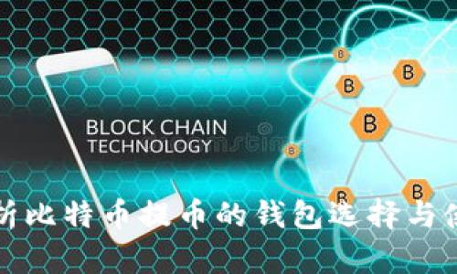 全面解析比特币提币的钱包选择与使用指南