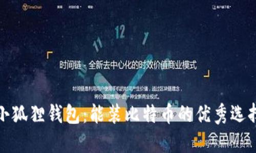小狐狸钱包：能装比特币的优秀选择