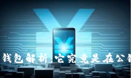 比特币钱包解析：它究竟是在公链上吗？