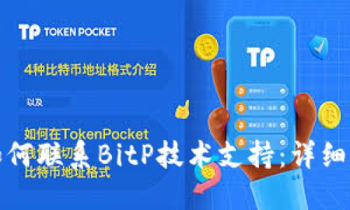: 如何联系BitP技术支持:详细指南