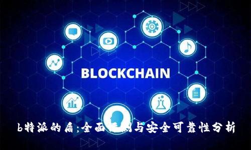 b特派的盾：全面评测与安全可靠性分析
