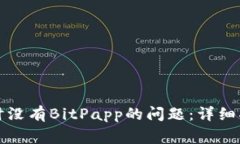 如何解决连接钱包时没有BitPapp的问题