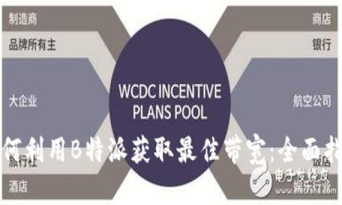 如何利用B特派获取最佳带宽：全面指南