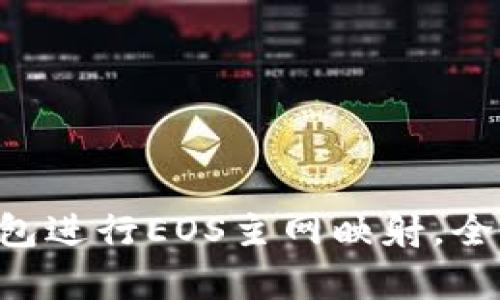 如何利用B特派钱包进行EOS主网映射,全面解析与实用指南