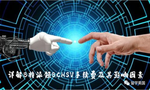 详解B特派领BCHSV手续费及其影响因素