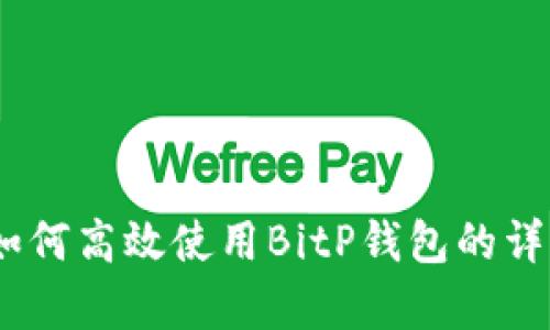 全面解析：如何高效使用BitP钱包的详细教程视频