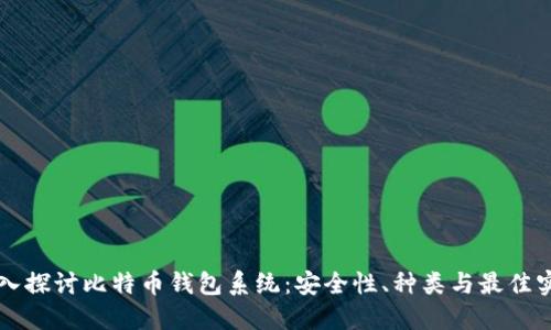 深入探讨比特币钱包系统：安全性、种类与最佳实践