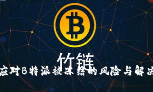 如何应对B特派被冻结的风险与解决方案