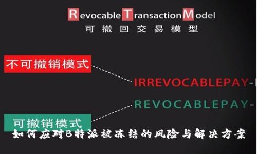 如何应对B特派被冻结的风险与解决方案