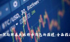 如何处理丢失比特币钱包的困境：全面