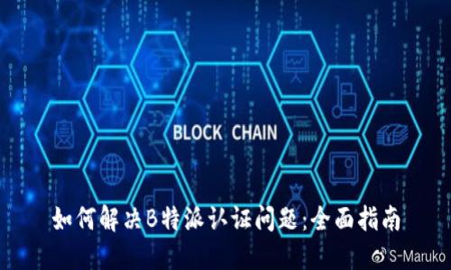 如何解决B特派认证问题：全面指南