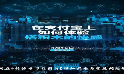 如何在B特派中下载图片?详细指南与常见问题解答