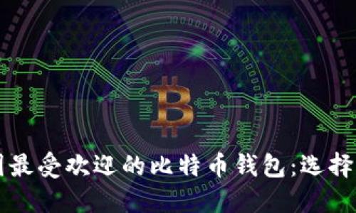 美国最受欢迎的比特币钱包：选择指南