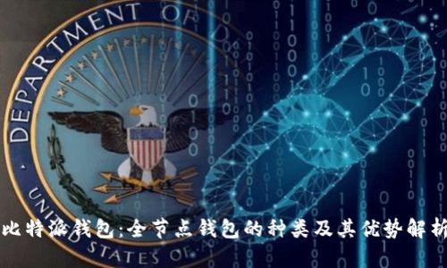 比特派钱包：全节点钱包的种类及其优势解析