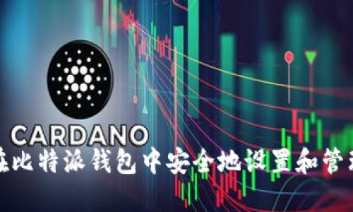 如何在比特派钱包中安全地设置和管理私钥