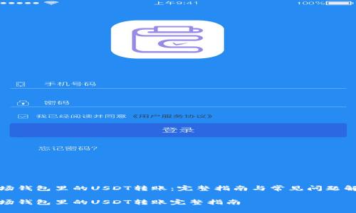 波场钱包里的USDT转账:完整指南与常见问题解答
波场钱包里的USDT转账完整指南