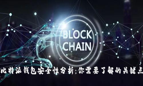 比特派钱包安全性分析:你需要了解的关键点
