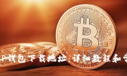 如何更改BitP钱包下载地址：详细教程和常见问题解析