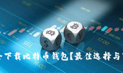 如何安全下载比特币钱包？最佳选择与下载指南