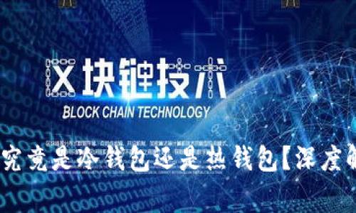 USDT资金账户究竟是冷钱包还是热钱包？深度解析与常见误区