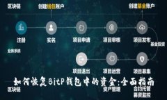 如何恢复BitP钱包中的资金：全面指南