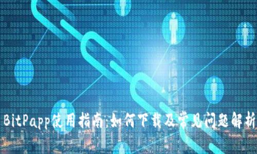 BitPapp使用指南：如何下载及常见问题解析