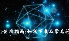 BitPapp使用指南：如何下载及常见问题