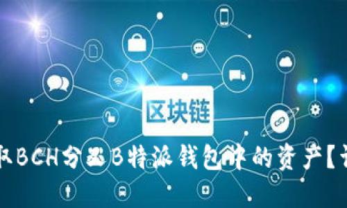 如何领取BCH分叉B特派钱包中的资产?详细指南