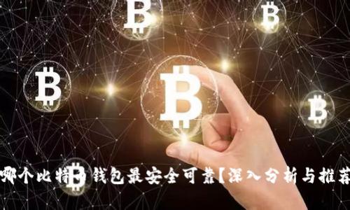 哪个比特币钱包最安全可靠？深入分析与推荐