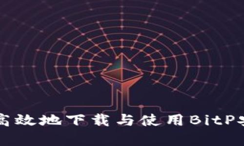 如何安全高效地下载与使用BitP安卓版应用