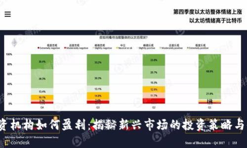 Web3投资机构如何盈利：揭秘新兴市场的投资策略与收益模式