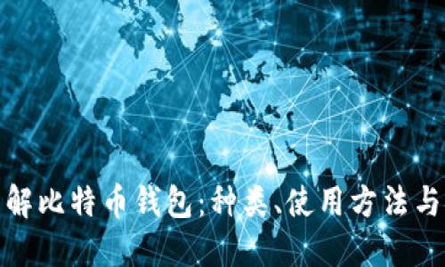 全面了解比特币钱包：种类、使用方法与安全性