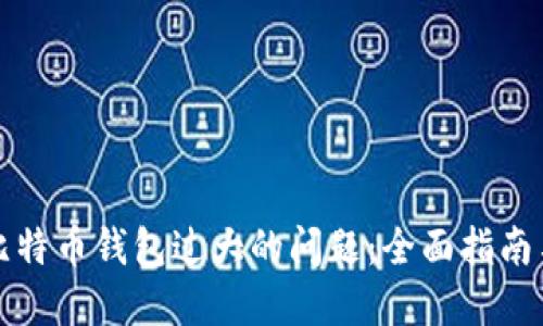 如何解决比特币钱包过大的问题:全面指南与最佳实践