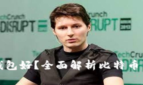 比特币存放哪个钱包好？全面解析比特币钱包类型及其优势