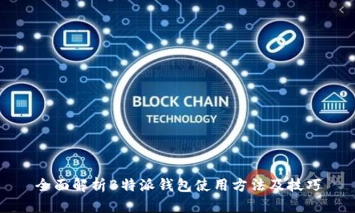 全面解析B特派钱包使用方法及技巧