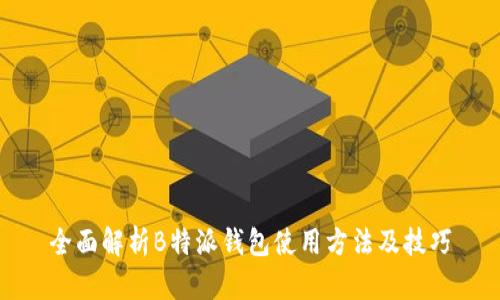 全面解析B特派钱包使用方法及技巧